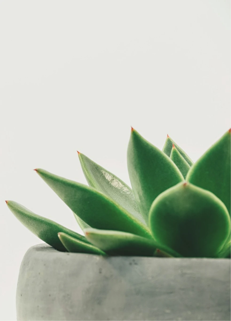 Background GIF