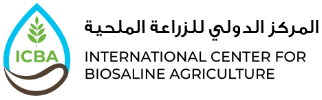 Partner 3